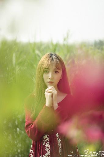 第九区免费观看完整版国语